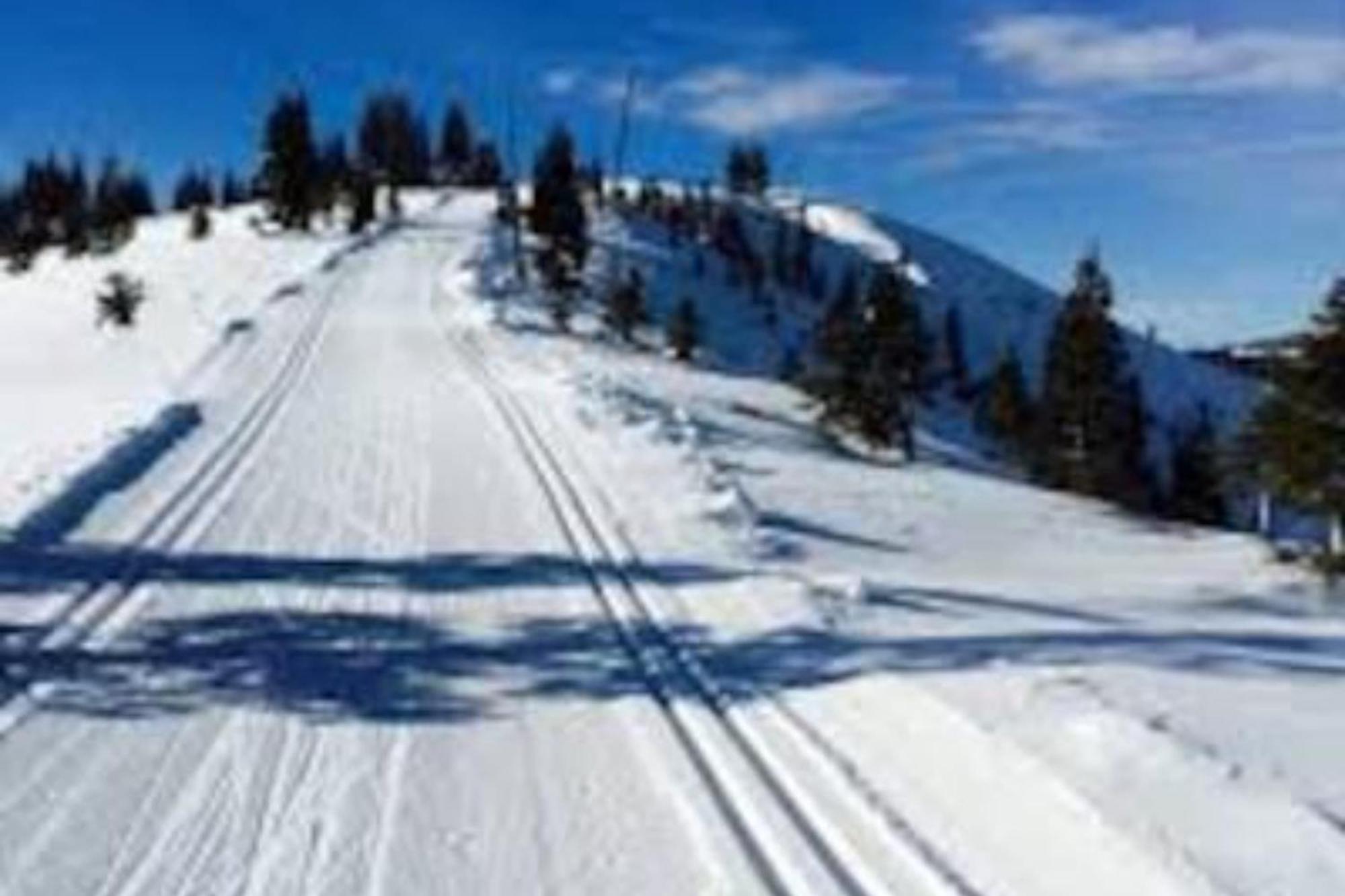 Moosetrack By Avantstay Cozy Cabin In The Of Tahoe Donner W Hot Tub ทรักกี ภายนอก รูปภาพ